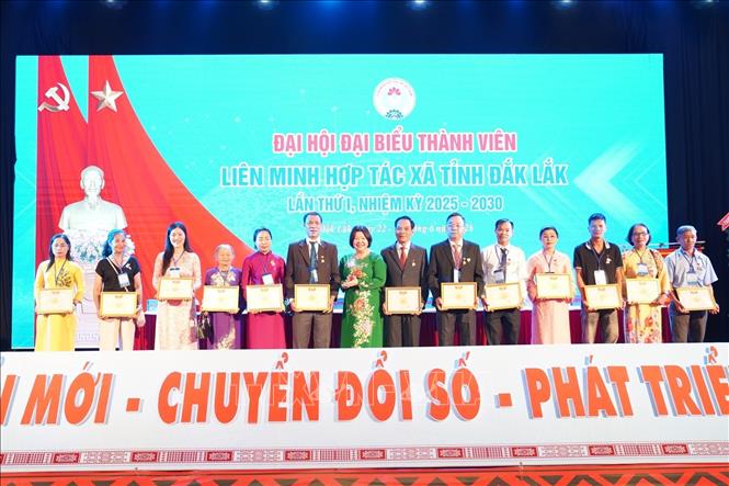 Liên minh Hợp tác xã Việt Nam tặng Kỷ niệm chương cho 13 cá nhân tại Đại hội. Ảnh: Hoài Thu – TTXVN.