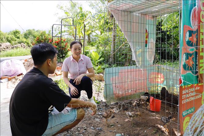 Anh N.H.H (trú tại phường Đại Thành) được tiếp cận nguồn vốn vay 100 triệu đồng để đầu tư chăn nuôi gà thịt và trồng hoa màu. Ảnh: Thu Hiền - TTXVN