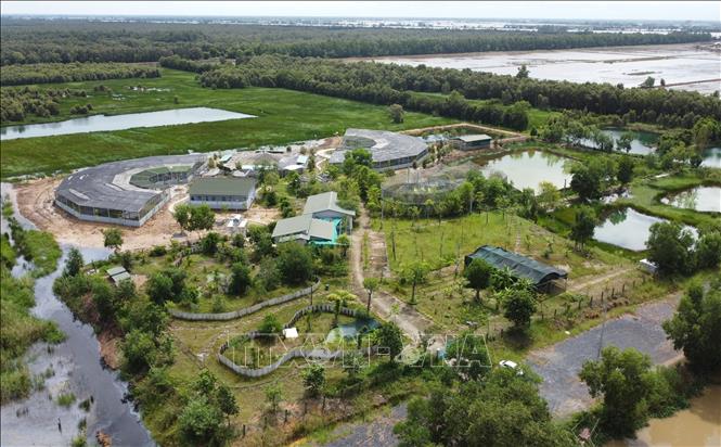 The area for raising sarus cranes at the Tram Chim National Park. VNA Photo: Nhựt An