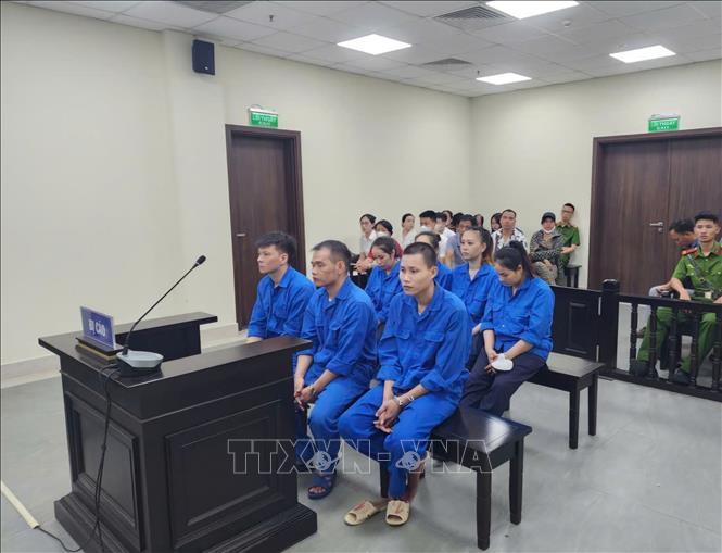 Các bị cáo tham gia vào đường dây mua bán thận tại phiên tòa. Ảnh: Kim Anh - TTXVN