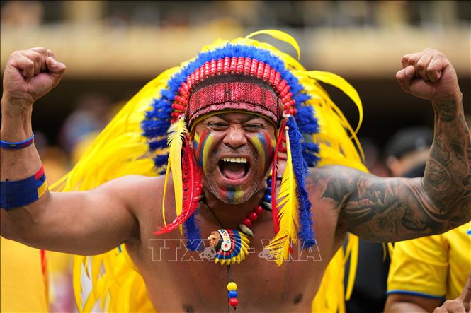 Cổ động viên đội tuyển Colombia. Ảnh: THX/TTXVN