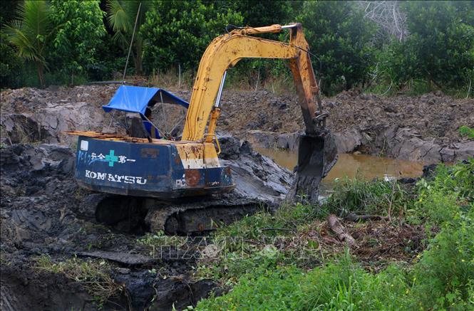 Nông dân Cần Thơ chuyển dịch từ mô hình độc canh lúa sang đa dạng hóa sản xuất nông nghiệp có giá trị cao tại xã Tân Hòa. Ảnh: Duy Khương – TTXVN