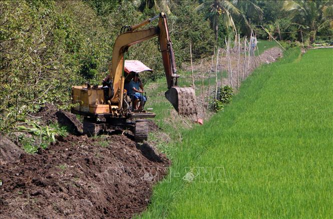 Nông dân Cần Thơ chuyển dịch từ mô hình độc canh lúa sang đa dạng hóa sản xuất nông nghiệp có giá trị cao tại xã Tân Hòa. Ảnh: Duy Khương – TTXVN