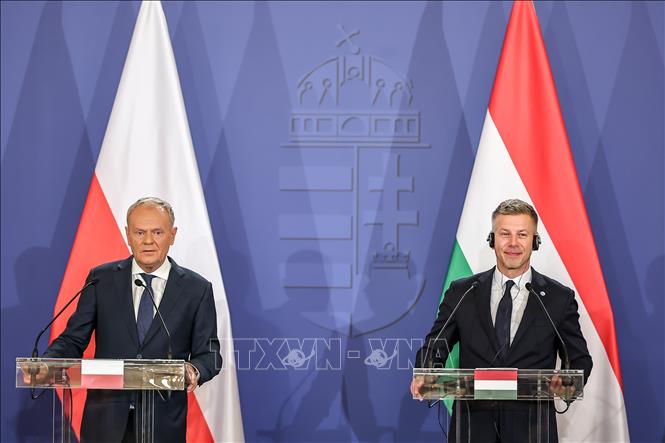 Thủ tướng Ba Lan Donald Tusk (trái) và Thủ tướng Hungary Peter Magyar tại cuộc họp báo sau hội nghị ở Godollo, Hungary ngày 23/6/2026. Ảnh: THX/TTXVN