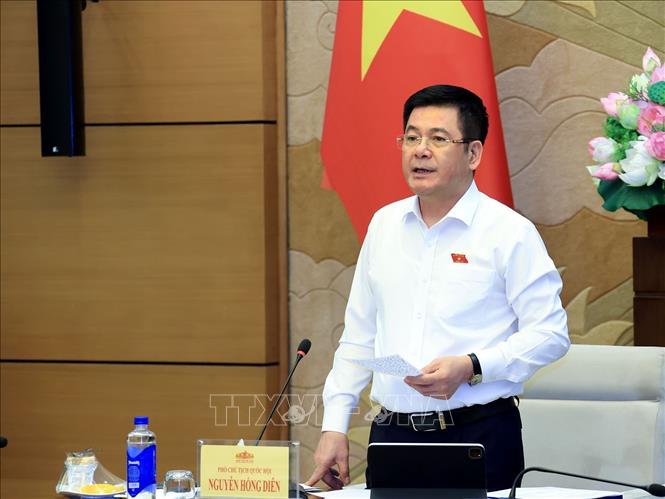 Phó Chủ tịch Quốc hội Nguyễn Hồng Diên phát biểu. Ảnh: Tuấn Anh - TTXVN