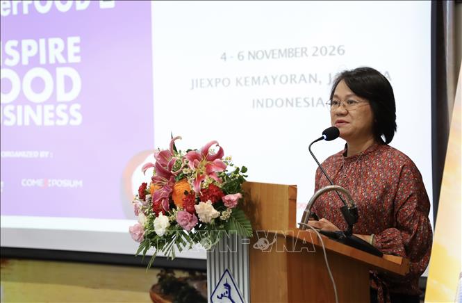 Đại diện doanh nghiệp chia sẻ kinh nghiệm xuất khẩu  vào Indonesia. Ảnh: Xuân Anh - TTXVN