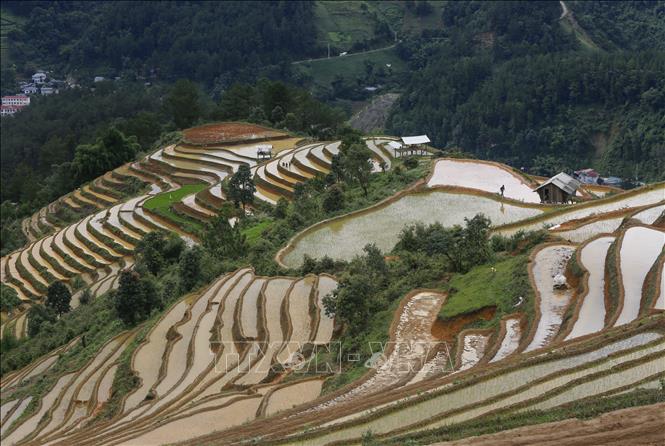 Water-filled terraced rice fields in Mu Cang Chai. VNA Photo: Tuấn Anh