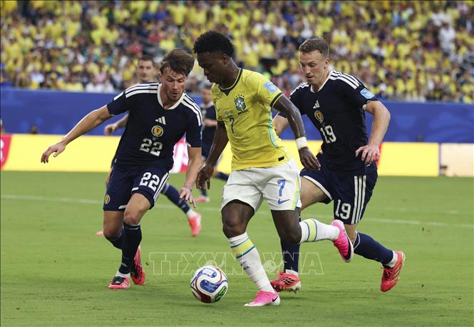 Tiền đạo Vinicius Junior của Brazil kiểm soát bóng trước các cầu thủ Scotland. Ảnh: THX/TTXVN phát