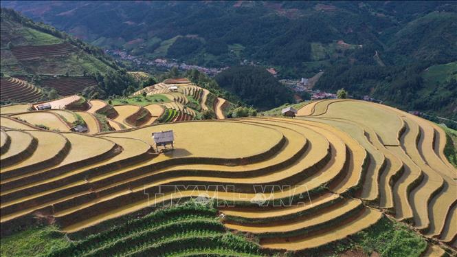 Beautiful terraced rice fields under the summer golden sun. VNA Photo: Tuấn Anh