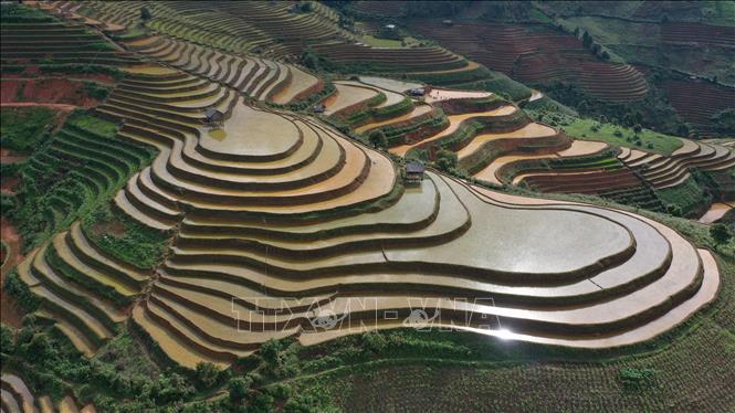 Sparkling beauty of terraced rice fields in Mu Cang Chai. VNA Photo: Tuấn Anh