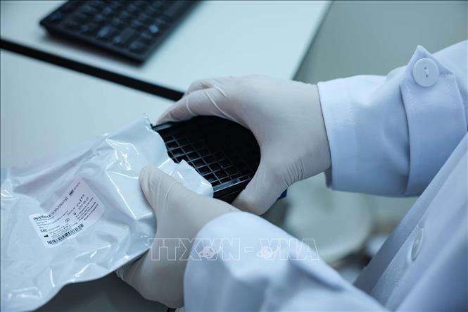 Kiểm tra mã code vỏ trùng code trên đĩa aray trước khi chạy trên máy microarray GeneTitan thể mô để xét nghiệm ADN thân nhân liệt sĩ. Ảnh: Hoàng Hiếu - TTXVN