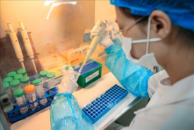 Trực tiếp thực hiện các quy trình xét nghiệm tại trung tâm là đội ngũ kỹ thuật viên và chuyên gia được đào tạo bài bản, có trình độ chuyên môn cao trong lĩnh vực sinh học phân tử và giám định ADN, tuân thủ nghiêm ngặt các tiêu chuẩn phòng thí nghiệm quốc tế. Đội ngũ này đóng vai trò then chốt trong việc bảo đảm chất lượng và độ chính xác của kết quả phân tích. Ảnh: Hoàng Hiếu - TTXVN
