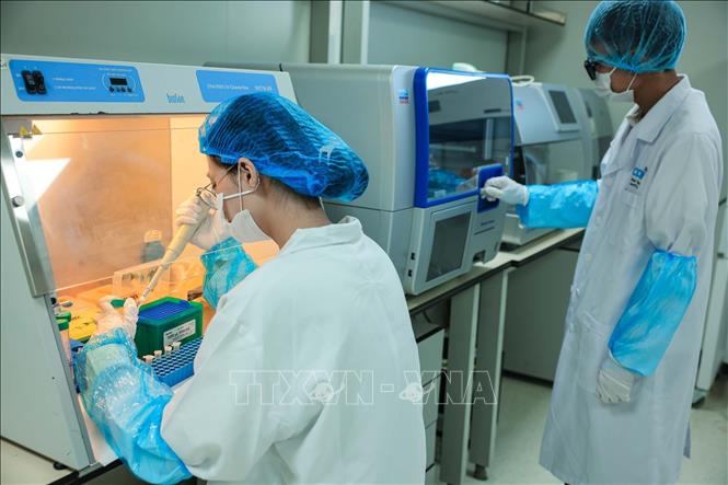 Trực tiếp thực hiện các quy trình xét nghiệm tại Trung tâm là đội ngũ kỹ thuật viên và chuyên gia được đào tạo bài bản, có trình độ chuyên môn cao trong lĩnh vực sinh học phân tử và giám định ADN, tuân thủ nghiêm ngặt các tiêu chuẩn phòng thí nghiệm quốc tế. Đội ngũ này đóng vai trò then chốt trong việc bảo đảm chất lượng và độ chính xác của kết quả phân tích. Ảnh: Hoàng Hiếu - TTXVN