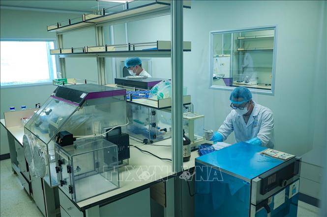 Chuẩn bị mẫu là một trong những khâu quan trọng nhất của quy trình giám định ADN, kỹ thuật viên phải thực hiện thao tác trong điều kiện vô nhiễm nghiêm ngặt nhằm loại bỏ nguy cơ xuất hiện ADN ngoại lai và nhiễm chéo giữa các mẫu, qua đó bảo đảm độ chính xác và độ tin cậy của kết quả phân tích. Ảnh: Hoàng Hiếu - TTXVN