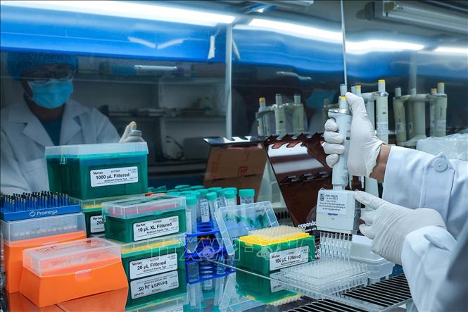 Trực tiếp thực hiện các quy trình xét nghiệm tại Trung tâm là đội ngũ kỹ thuật viên và chuyên gia được đào tạo bài bản, có trình độ chuyên môn cao trong lĩnh vực sinh học phân tử và giám định ADN, tuân thủ nghiêm ngặt các tiêu chuẩn phòng thí nghiệm quốc tế. Đội ngũ này đóng vai trò then chốt trong việc bảo đảm chất lượng và độ chính xác của kết quả phân tích. Ảnh: Hoàng Hiếu - TTXVN