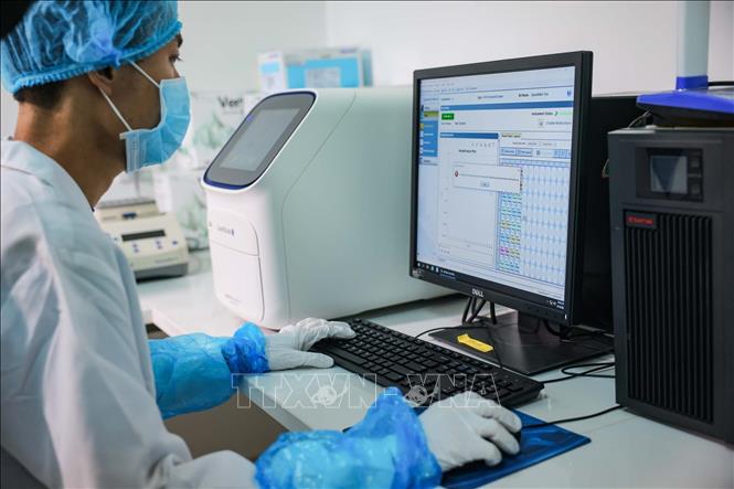 Realtime PRC để kiểm tra đường chuẩn, tính toán lượng DNA trước cho vào máy. Ảnh: Hoàng Hiếu - TTXVN