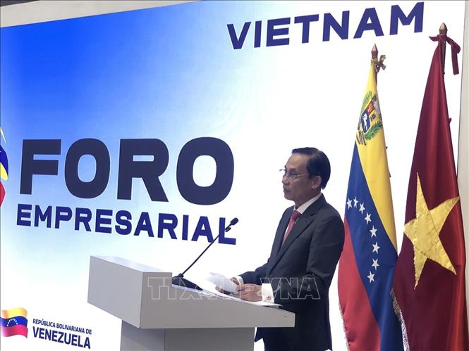 Bộ trưởng Ngoại giao Lê Hoài Trung phát biểu tại Diễn đàn Doanh nghiệp Việt Nam - Venezuela. Ảnh: TTXVN phát
