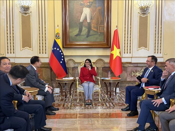 Bộ trưởng Ngoại giao Lê Hoài Trung hội kiến Tổng thống lâm thời Venezuela Delcy Rodriguez Gomes. Ảnh: TTXVN phát