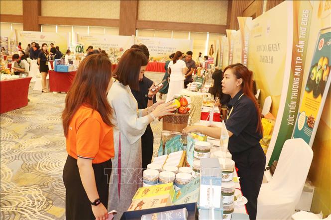 Các doanh nghiệp xúc tiến thương mại bên lề hội thảo. Ảnh: Ngọc Thiện - TTXVN