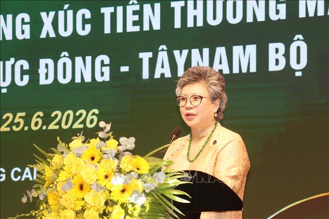 Bà Bùi Thị Hải Yến, Phó Chủ tịch Hiệp hội Nữ Doanh nhân Việt Nam, Phó Ban Xúc tiến thương mại, Phó Ban tổ chức chương trình, Chủ tịch Hội Nữ doanh nhân thành phố Hà Nội phát biểu. Ảnh: Ngọc Thiện - TTXVN