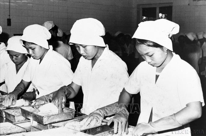 TP.Hồ Chí Minh đã thể hiện bản lĩnh vượt khó, năng động, sáng tạo trong những năm đầu đất nước thống nhất. Trong ảnh: Hoạt động sản xuất tại xí nghiệp đông lạnh Tân Nam Hải, thành phố Hồ Chí Minh (10/1976). Ảnh: Thanh Phàn - TTXVN