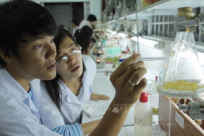 Năm 2024, Thành phố Hồ Chí Minh và thành phố Sơn La, tỉnh Sơn La được UNESCO công nhận là thành viên “Mạng lưới thành phố học tập toàn cầu”. Trong ảnh: Sinh viên Khoa Sinh học Trường ĐH Khoa học Tự Nhiên TP Hồ Chí Minh trong giờ thực hành. Ảnh: Phương Vy- TTXVN