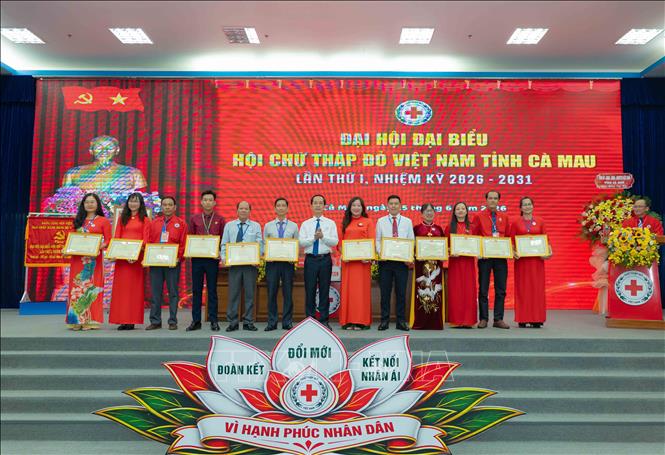 Phó Bí thư Tỉnh uỷ, Chủ tịch Uỷ ban MTTQ Việt Nam tỉnh Cà Mau Hồ Thanh Thủy trao bằng khen cho 2 tập thể, 10 cá nhân có thành tích xuất sắc. Ảnh: Huỳnh Anh - TTXVN