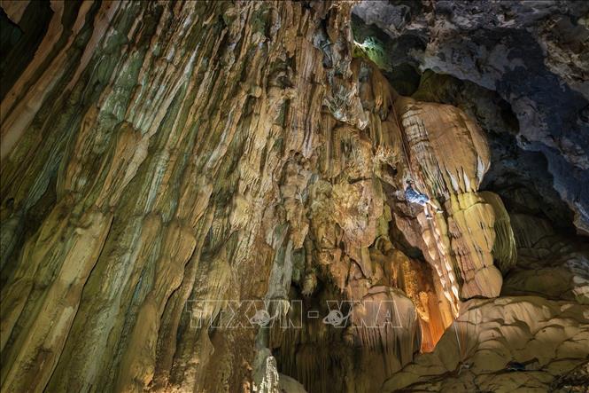 Hệ thống thạch nhũ đồ sộ trong hang Thắng. Ảnh: TTXVN phát