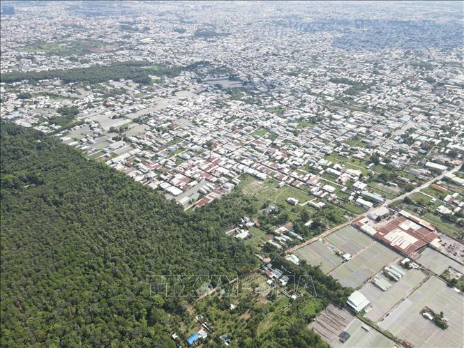 Rừng phòng hộ cảnh quan môi trường Biên Hòa nằm sát khu dân cư phường Trảng Dài và Hố Nai, được ngăn cách bởi hàng rào bê tông song sắt kiên cố để ngăn người dân xâm phạm rừng. Ảnh: Sỹ Tuyên - TTXVN