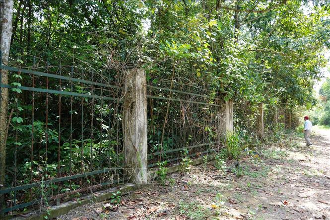 Rừng phòng hộ cảnh quan môi trường Biên Hòa nằm sát khu dân cư phường Trảng Dài và Hố Nai, được ngăn cách bởi hàng rào bê tông song sắt kiên cố để ngăn người dân xâm phạm rừng. Ảnh: Sỹ Tuyên - TTXVN