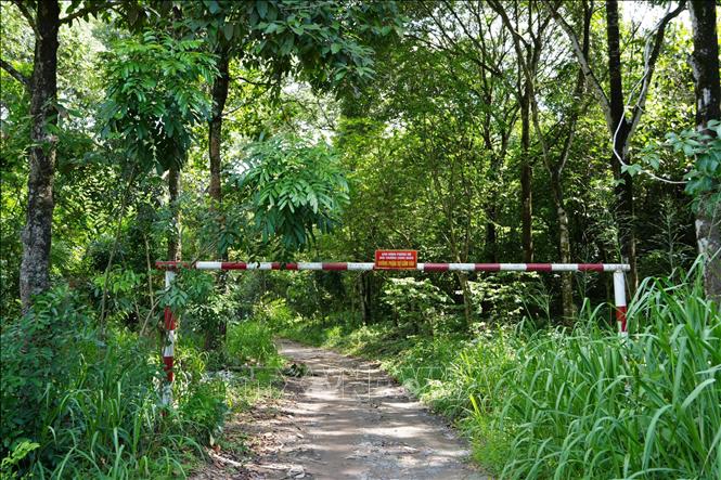 Khu vực cửa rừng có barie và biển báo cấm người dân không phận sự không vào rừng nhằm đảm bảo công tác phòng chống cháy rừng, chặt phá rừng, săn bắn động vật. Ảnh: Sỹ Tuyên - TTXVN