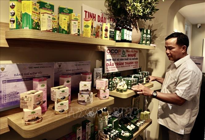 Góc trưng bày sản phẩm dầu chàm đến từ Huế. Ảnh: Trần Việt - TTXVN 