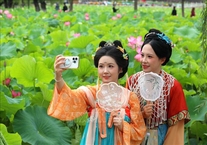 Hoa sen đang vào mùa nở rộ tại nhiều địa phương ở Trung Quốc. Những hồ sen được tô điểm với sắc hồng và trắng tạo nên khung cảnh thơ mộng giữa mùa Hè, thu hút người dân, du khách đến thưởng ngoạn. Ảnh: Du khách chụp ảnh bên hoa sen tại tỉnh Vân Nam, Trung Quốc. THX/TTXVN