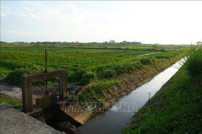 Ngành Nông nghiệp và Môi trường Thanh Hóa chỉ đạo các đơn vị thủy nông chủ động phục vụ nước tưới cây trồng cho người dân. Ảnh: Hoa Mai - TTXVN