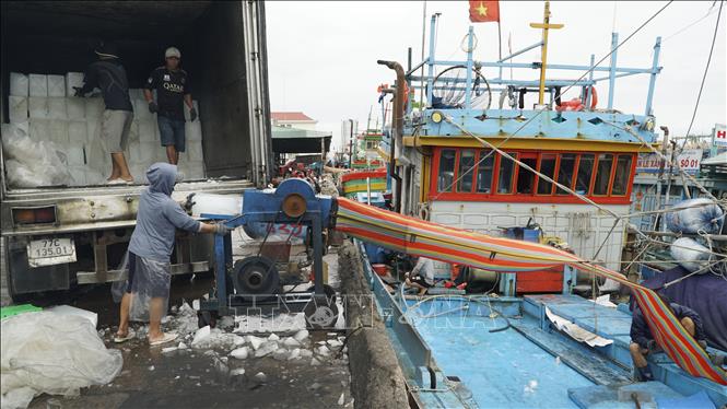 Các dịch vụ hậu cần nghề cá hoạt động hết công suất. Ảnh: Đình Quân - TTXVN                              