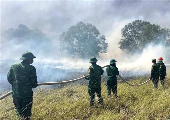Lực lượng Bộ đội Biên phòng phối hợp khống chế vụ cháy rừng xảy ra tại xã Nam Cửa Việt (tỉnh Quảng Trị). Ảnh: TTXVN phát