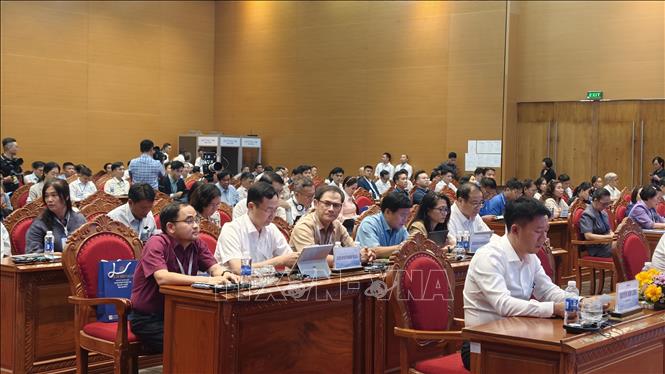 Các đại biểu tham dự tại Hội thảo. Ảnh: Sỹ Thắng - TTXVN