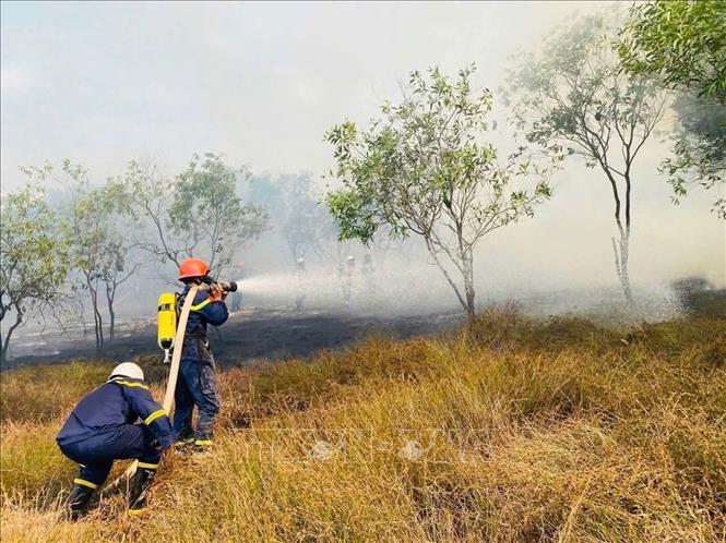 Hàng trăm cán bộ, chiến sĩ và người dân tham gia chữa cháy rừng tràm tại khu vực giáp ranh xã Nam Cửa Việt  và Triệu Cơ. Ảnh: TTXVN phát