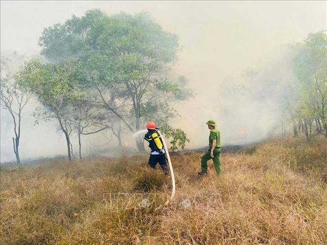 Công tác dập lửa vụ cháy rừng tràm tại khu vực giáp ranh xã Nam Cửa Việt  và Triệu Cơ gặp nhiều khó khăn do lượng thực bì dày kết hợp nắng nóng gay gắt, gió Tây Nam thổi mạnh. Ảnh: TXVN phát