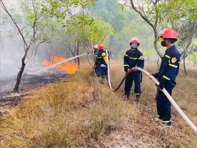 Lực lượng Cảnh sát phòng cháy chữa cháy nỗ lực dập tắt vụ cháy rừng tràm tại khu vực giáp ranh xã Nam Cửa Việt và Triệu Cơ. Ảnh: TXVN phát