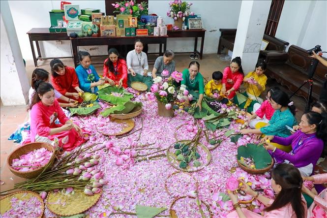 Nghề ướp trà sen Quảng An không đơn thuần là một nghề mưu sinh mà còn là một giá trị văn hoá quý báu, gắn liền với lịch sử, con người và bản sắc của vùng đất Tây Hồ. Ảnh: Khánh Hoà - TTXVN