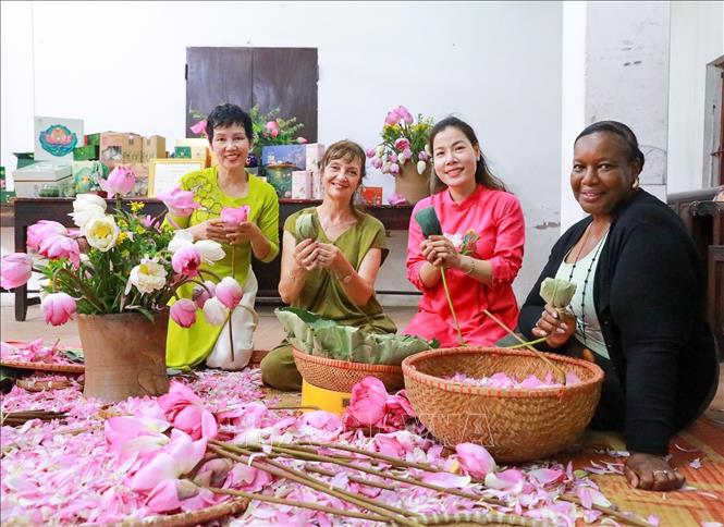Du khách trải nghiệm nghề ướp trà sen Quảng An. Ảnh: Khánh Hoà - TTXVN