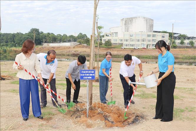 Nhân dân phường Bình Phước (thành phố Đồng Nai) tham gia trồng cây xanh bảo vệ môi trường vì một Việt Nam xanh. Ảnh: Nhật Bình – TTXVN
