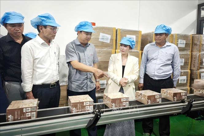 Lãnh đạo tỉnh Đắk Lắk thăm Hợp tác xã Hala Farm Việt Nam, xã Dliê Ya. Ảnh: TTXVN phát