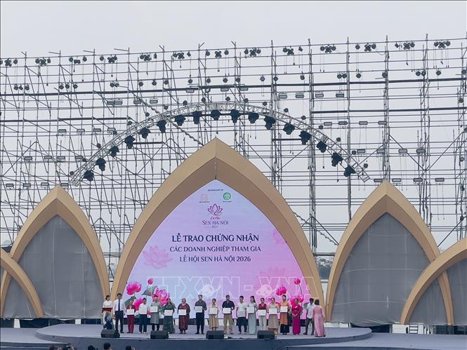 Ban tổ chức trao Giấy chứng nhận cho các đơn vị tham gia, đồng hành với Lễ hội Sen 2026. Ảnh: Tuyết Mai - TTXVN