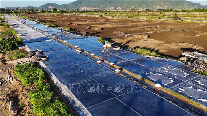 Những ô nại trắng loang loáng nước muối. Ảnh: Hữu Quyết – TTXVN