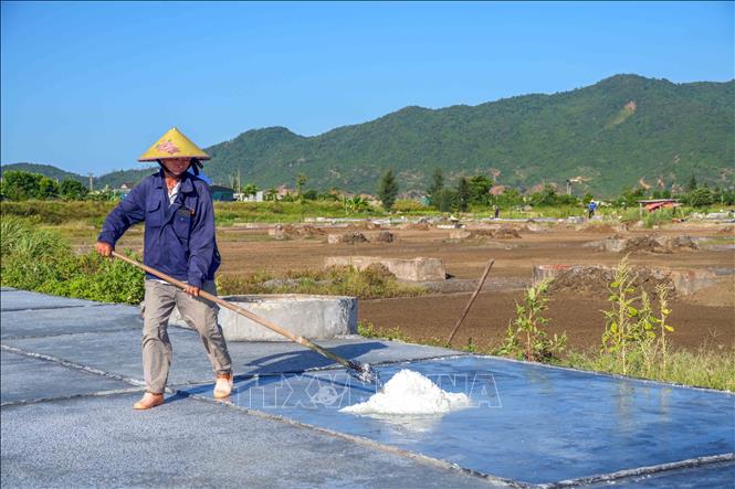 Hiện nay chỉ còn những lao động cao tuổi tham gia sản xuất ở làng muối Châu Hạ. Ảnh: Hữu Quyết – TTXVN