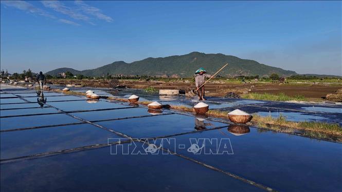 Người dân đổ nước vào các ô nại, tiếp tục chuẩn bị mẻ muối cho ngày hôm sau. Ảnh: Hữu Quyết – TTXVN