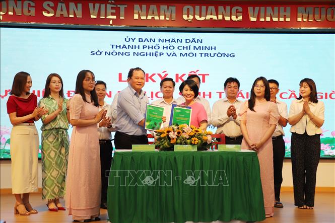 Ban Quản lý rừng phòng hộ, đặc dụng Thành phố và Công ty Cổ phần Đô thị Du lịch Cần Giờ trao biên bản hợp tác. Ảnh: Hồng Đạt - TTXVN