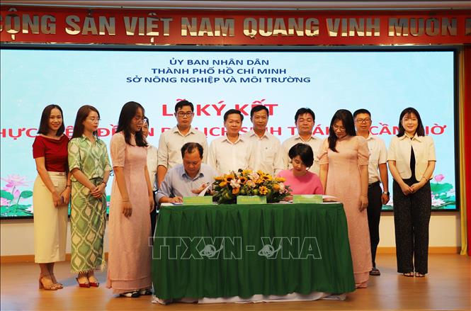 Ký kết triển khai thực hiện Đề án du lịch sinh thái, nghỉ dưỡng, giải trí rừng phòng hộ Cần Giờ đến năm 2030 giữa Ban Quản lý rừng phòng hộ, đặc dụng Thành phố và Công ty Cổ phần Đô thị Du lịch Cần Giờ. Ảnh: Hồng Đạt - TTXVN